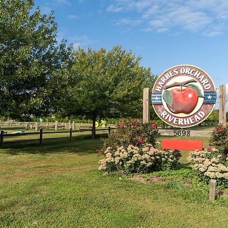マッティタック Large Modern North Fork Barn:Vineyards In Backyard, Harbes Farmsヴィラ エクステリア 写真